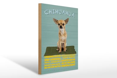 Holzschild Spruch 30x40cm Chihuahua Hund lebenslustig