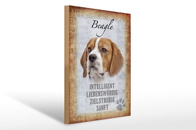 Holzschild Spruch 30x40cm Beagle Hund Schild