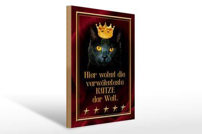 Holzschild Spruch 30x40cm hier wohnt Katze der Welt