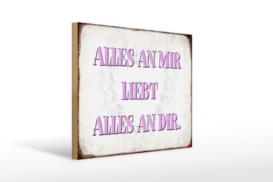 Holzschild Spruch 40x30cm alles an mir liebt alles an dir