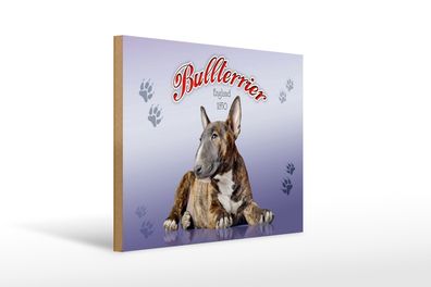 Holzschild Hund 40x30cm Bullterrier England 1850