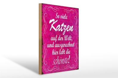 Holzschild Spruch 30x40cm so viele Katzen auf der Welt