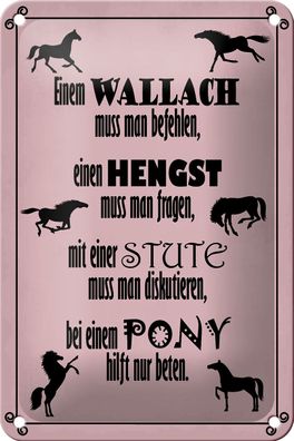 Blechschild Spruch 12x18cm Pferde Wallach Hengst Pony Stute