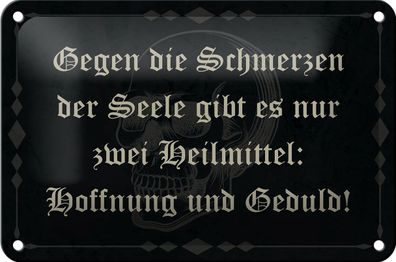 Blechschild Spruch 18x12cm Schmerzen Seele zwei Heilmittel Dekoration