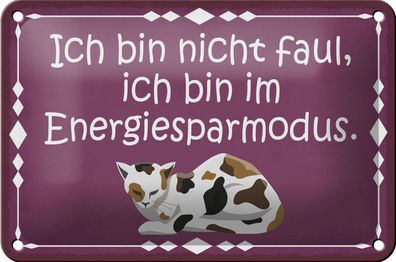 Blechschild Spruch 18x12cm Katze ich bin nicht faul bin im