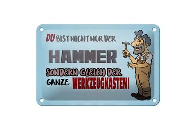 Blechschild Spruch 18x12cm du Bist nicht nur der Hammer