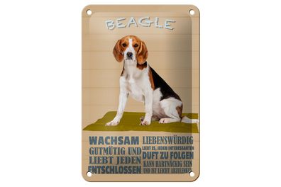 Blechschild Spruch 12x18cm Beagle Hund gutmütig liebt jeden