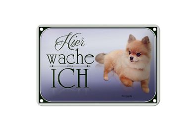 Blechschild Hund 18x12cm Zwergspitz hier wache ich