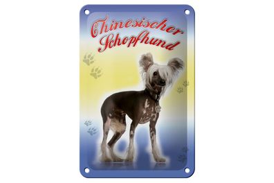 Blechschild Hund 12x18cm Chinesischer Schopfhund