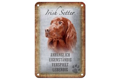 Blechschild Spruch 12x18cm Irish Setter Hund Schild