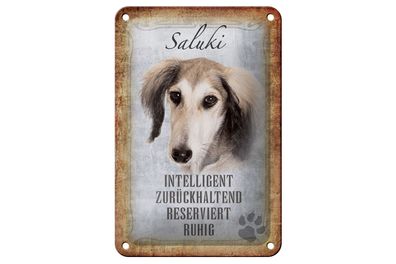 Blechschild Spruch 12x18cm Saluki Hund ruhig Geschenk