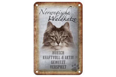 Blechschild Spruch 12x18cm norvegische Waldkatze Katze Wanddeko