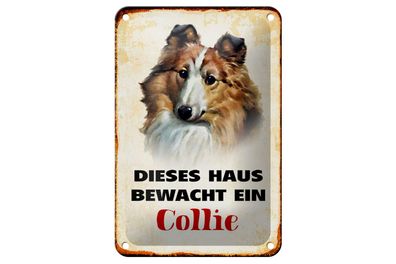 Blechschild Hund 12x18cm dieses Haus bewacht ein Collie