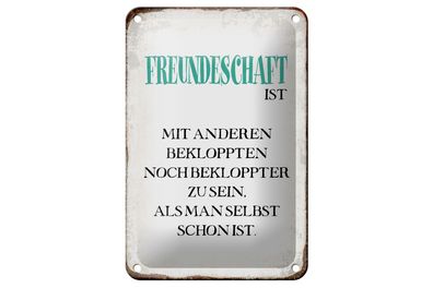 Blechschild Spruch 12x18cm Freundschaft ist mit anderen