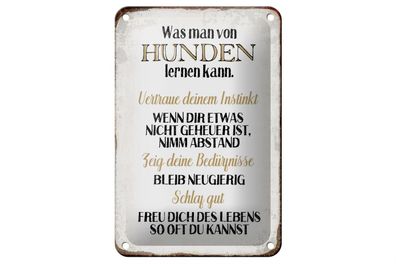 Blechschild Spruch 12x18cm was man von Hunden lernen kann