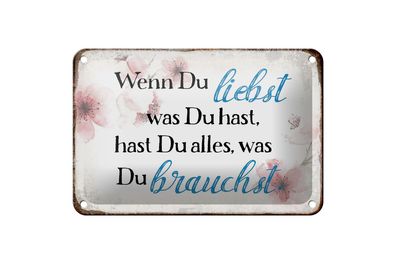 Blechschild Spruch 18x12cm wenn du liebst was du hast