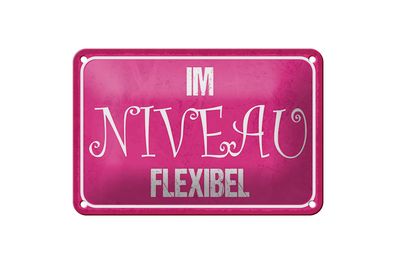 Blechschild Spruch 18x12cm Im NIVEAU flexibel