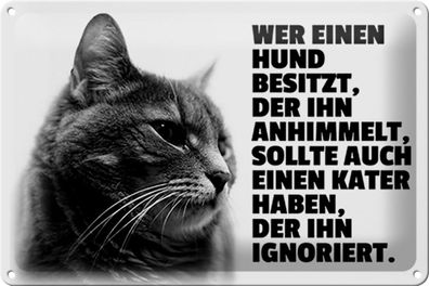 Blechschild Spruch 30x20cm Hund himmelt an Kater ignoriert