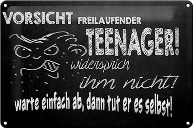 Blechschild Spruch 30x20cm Vorsicht freilaufender Teenager