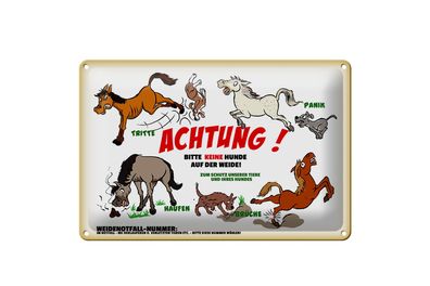 Blechschild Hinweis 30x20cm Achtung keine Hunde auf Weide