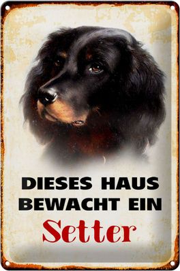 Blechschild Hund 20x30cm dieses Haus bewacht ein Setter