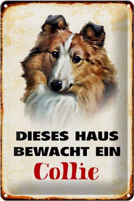 Blechschild Hund 20x30cm dieses Haus bewacht ein Collie