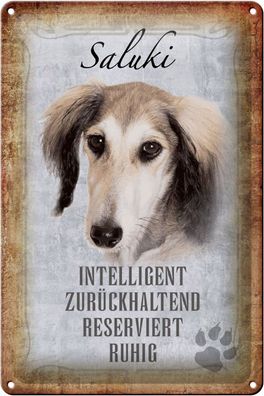 Blechschild Spruch 20x30cm Saluki Hund ruhig Geschenk