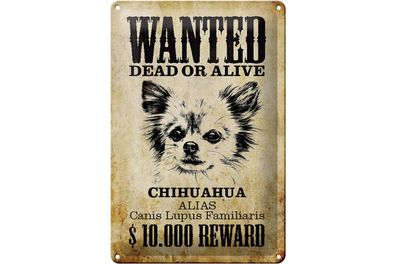 Blechschild Hund 20x30cm wanted Chihuahua Alias