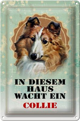 Blechschild Hund 20x30cm in diesem Haus wacht ein Collie