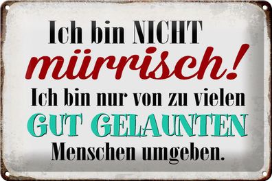 Blechschild Spruch 30x20cm ich bin nicht mürrisch bin nur