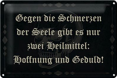 Blechschild Spruch 30x20cm Schmerzen Seele zwei Heilmittel