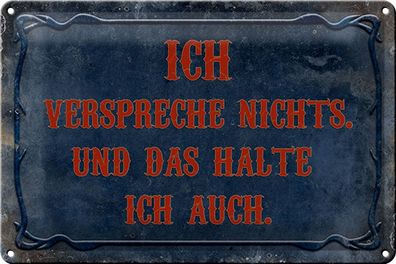 Blechschild Spruch 30x20cm verspreche nichts das halte auch