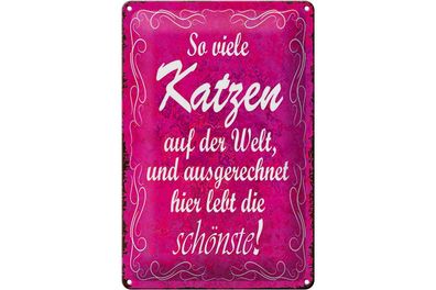 Blechschild Spruch 20x30cm so viele Katzen auf der Welt