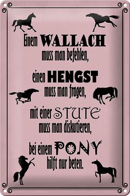 Blechschild Spruch 20x30cm Pferde Wallach Hengst Pony Stute