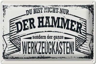 Blechschild Spruch 30x20cm Du bist nicht nur