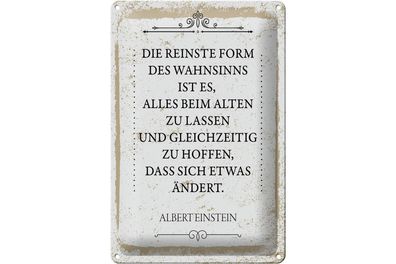 Blechschild Spruch Einstein reinste Form Wahnsinns 20x30cm