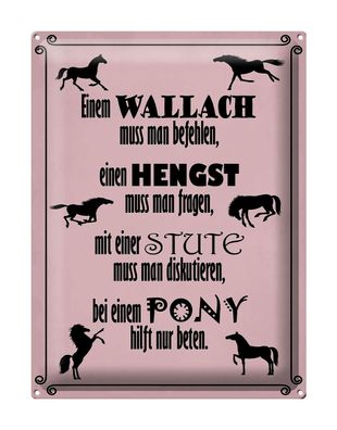 Blechschild Spruch 30x40cm Pferde Wallach Hengst Pony Stute