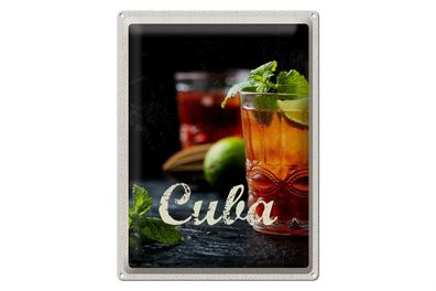 Blechschild Reise 30x40cm Cuba Karibik Cocktail Limette Minze