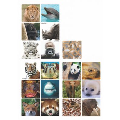 WWF Memo-Spiel "Selfies" 36 Teile Elefanten Pandas Tiger Hai Tiere Tierschutz