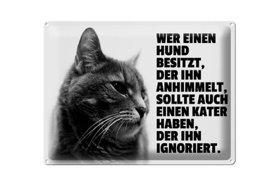 Blechschild Spruch 40x30cm Hund himmelt an Kater ignoriert