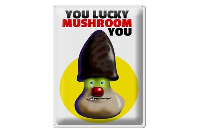 Blechschild Spruch 30x40cm You lucky mushroom you