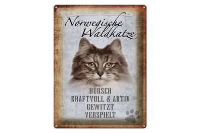 Blechschild Spruch 30x40cm norvegische Waldkatze Katze Wanddeko