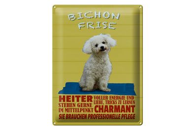 Blechschild Spruch 30x40cm Hund Bichon Frise charmant