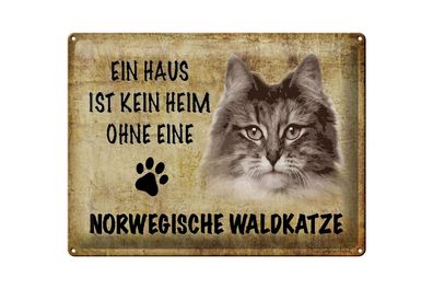 Blechschild Spruch 40x30cm Norvegische Waldkatze ohne kein Heim