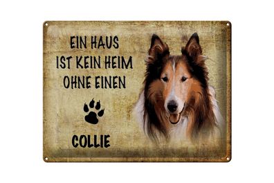 Blechschild Spruch 40x30cm Collie Hund ohne kein Heim