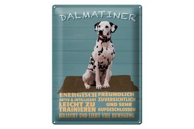 Blechschild Spruch 30x40cm Dalmatiner Hund energisch aktiv