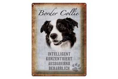 Blechschild Spruch 30x40cm Border Collie Hund Schild