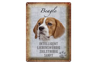 Blechschild Spruch 30x40cm Beagle Hund Schild