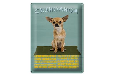 Blechschild Spruch 30x40cm Chihuahua Hund lebenslustig