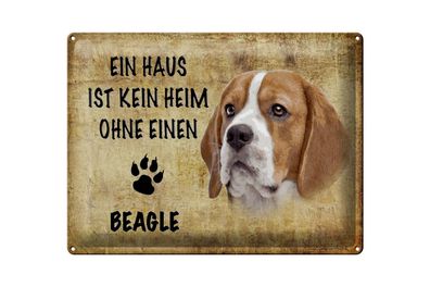 Blechschild Spruch 40x30cm Beagle Hund ohne kein Heim